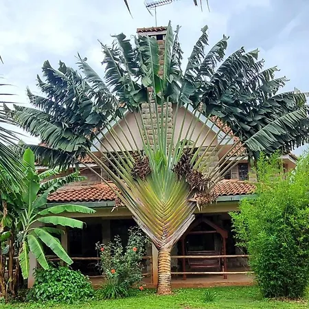 Edaala Comfort - B&B Nairobi Exterior foto