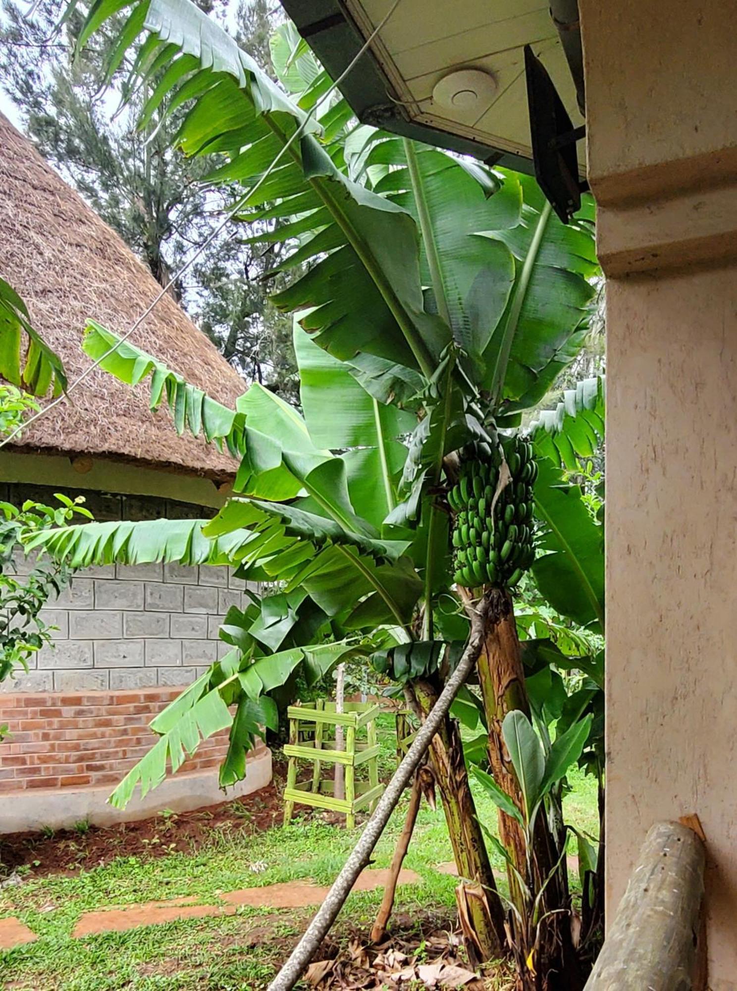 Privatunterkunft Edaala Comfort - Nairobi