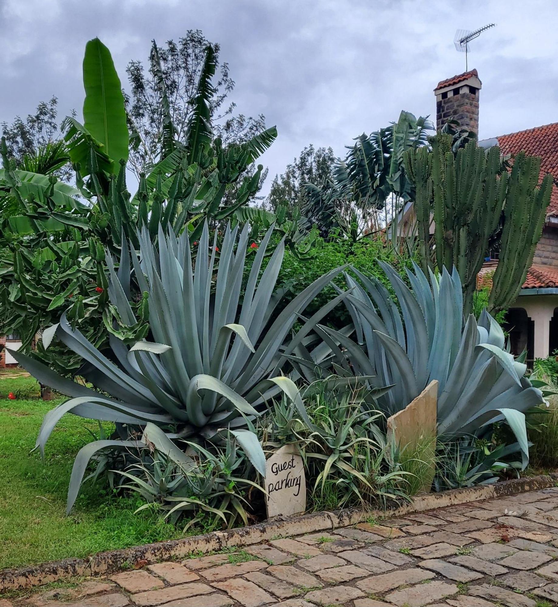 Privatunterkunft Edaala Comfort -